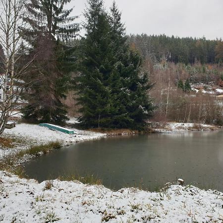 Penzion Lumis Nová Role Kültér fotó